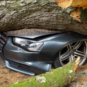 Seguro de Coche Todo Riesgo